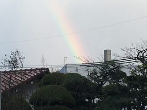 IMG_1323